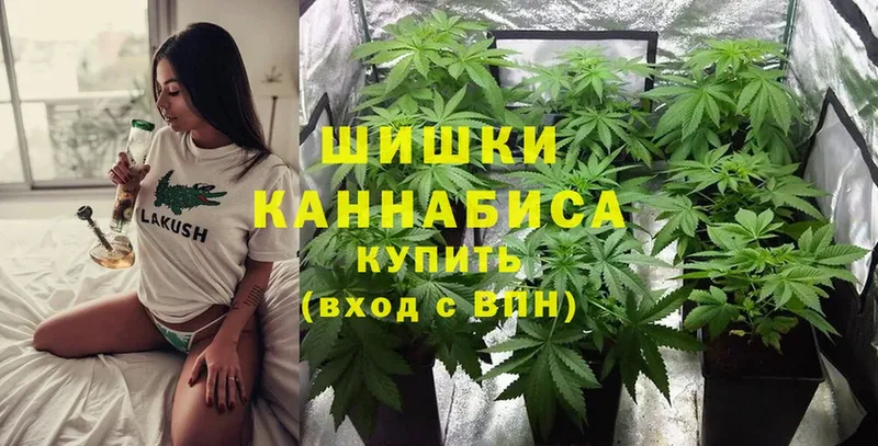 блэк спрут tor  наркота  Калачинск  Каннабис SATIVA & INDICA 